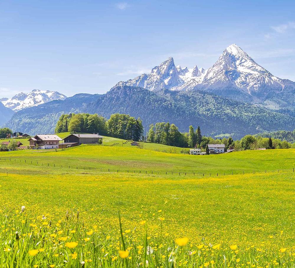 Log in to your account